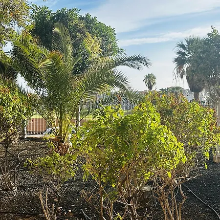 Apartament Terraza De La Paz Vista Al Campo De Golf San Miguel de Abona