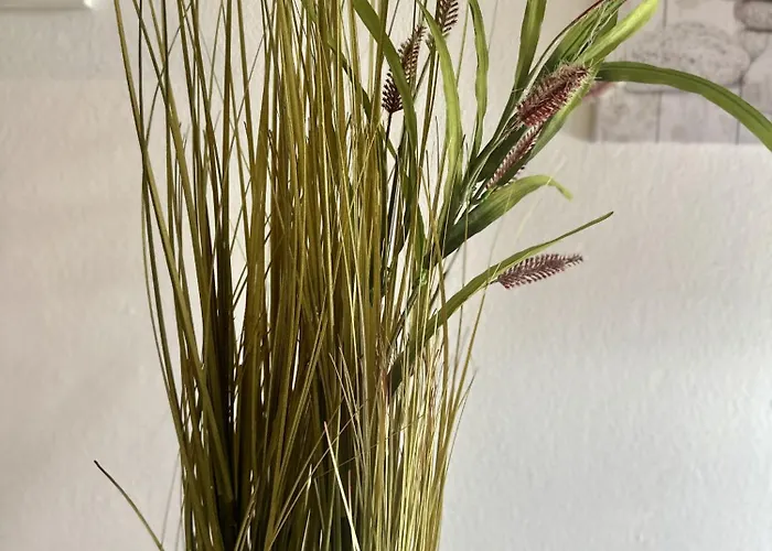 Terraza De La Paz Vista Al Campo De Golf San Miguel de Abona